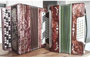 Баяны с авито