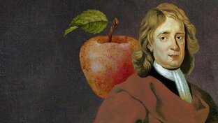 Этюды о сэре Исааке Ньютоне