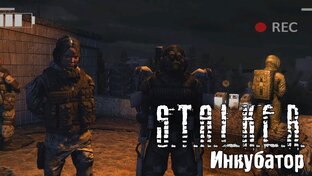 Stalker Инкубатор