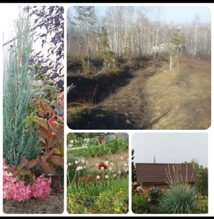 ВСЕ ВИДЕО О ДАЧЕ