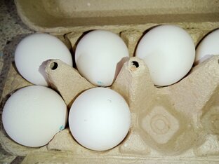 блюда из яиц