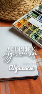 Дневник художника 