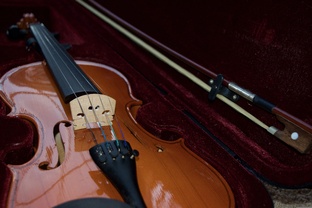 Скрипка  💖🎻💖 Смычковые