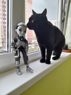 Rainbow и Shadow high