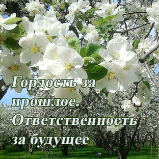 Патриотическое воспитание