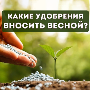 Какие удобрения вносить весной?