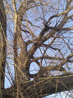 Познавательные, истории жизни , рассказы , изучение 