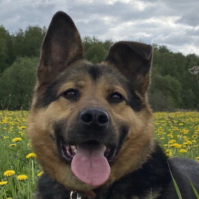 Уроки доброты