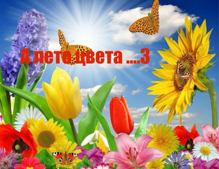 СП А ЛЕТО ЦВЕТА…….