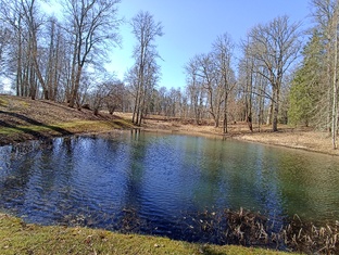 Природа и музыка