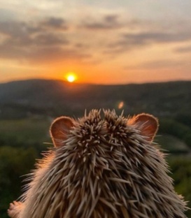 13 ЗАМЕТОК АВТОРА                             (все части)