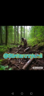 @Sanitaru zyemli 