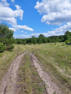 В деревне у брата.