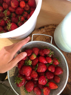 Жизнь в деревне