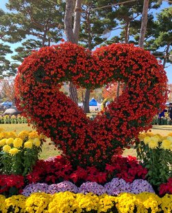 ♥️ Лайф ♥️