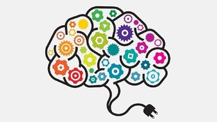 ЧГК или Мозголомка