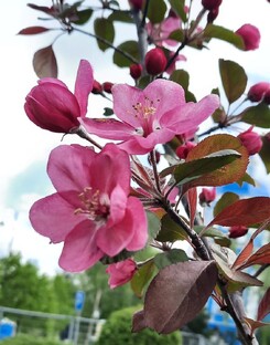 Стихи? Стихи)