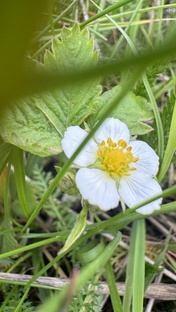 Велопрогулки