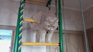 Занимаюсь спортом!