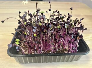 Интересное