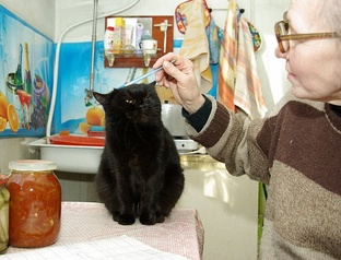 Про животных и людей