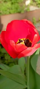 Мысли вслух 