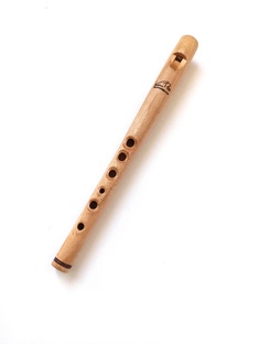 ШКОЛА ИГРЫ НА СВИРЕЛИ