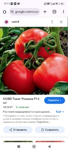 сад сезон 2024