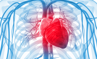 Кардиологические проблемы