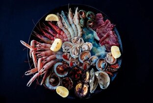 Морские гады