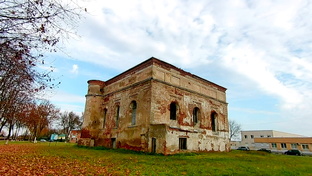 Быхов и район