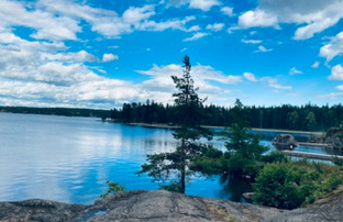 Однодневные поездки из Питера