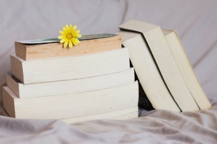 Обзор книг 