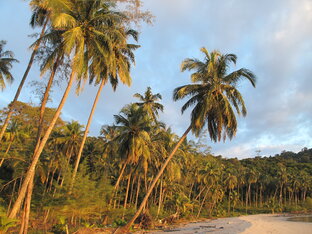 Отдых в Тайланде