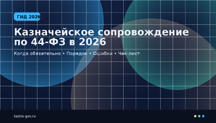 Все о казначейском сопровождении