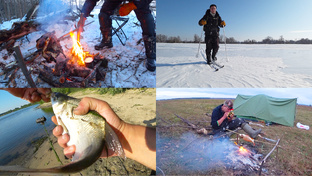 Год в одном кино