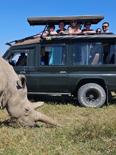 Все про Африку