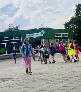 Школа и образование в Нидерландах 