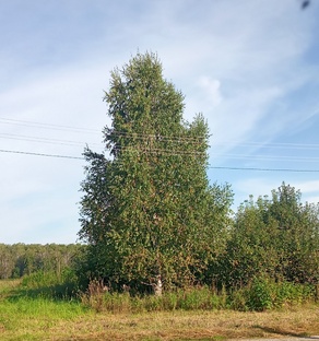 Взрослая встреча с детством ☺️