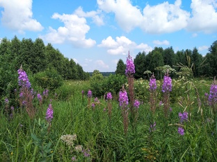 село Костенково
