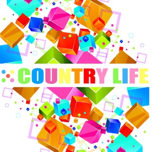 ДОМА СЕРИИ COUNTRY LIFE