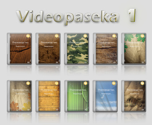 Видеопасека 1