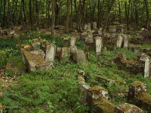 Путешествия Наши