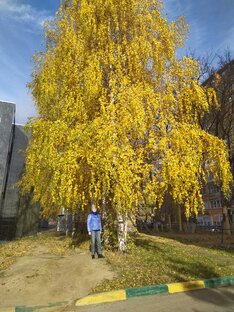 Будни кадровика и бухгалтера