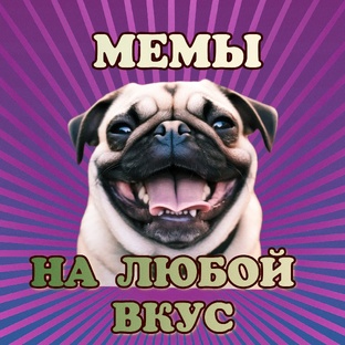 😹Мемы на любой вкус😄