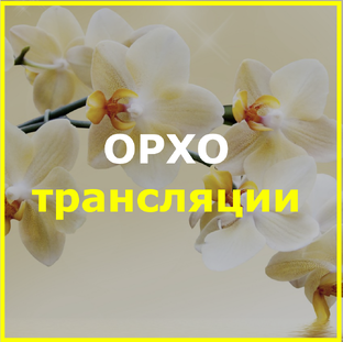ОРХОтрансляции из YouTube 