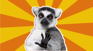 да епта опять отписались а все не обратно вернули моих 12 ребят 