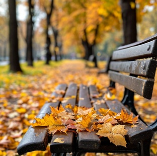 Стихи про осень