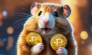 Комбо в Hamster Kombat.