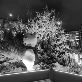 Придуманные истории из жизни